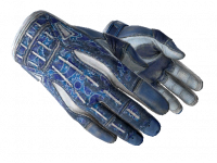 ★ Sport Gloves Amphibious